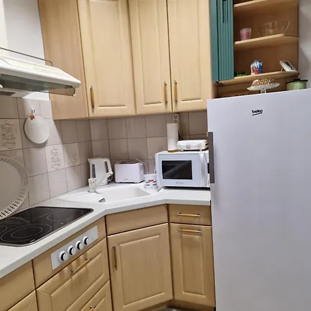 Апартаменты Tina Краньска Гора